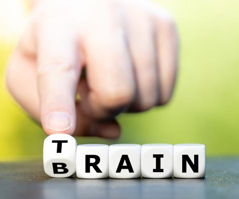 Letters train brain